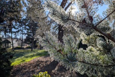 Agrandir l'image 9 sur 9, fenêtre modale