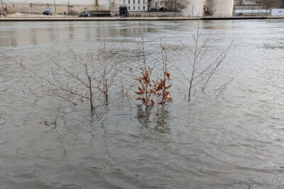 Agrandir l'image 1 sur 5, fenêtre modale