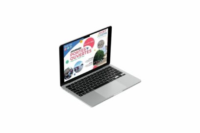 Agrandir l'image, fenêtre modale