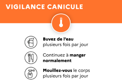 Agrandir l'image 7 sur 7, fenêtre modale