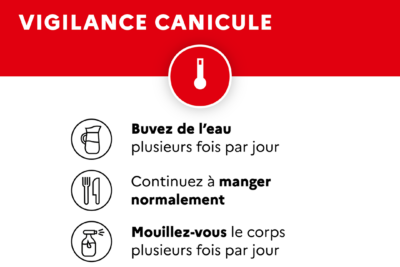 Agrandir l'image 8 sur 8, fenêtre modale