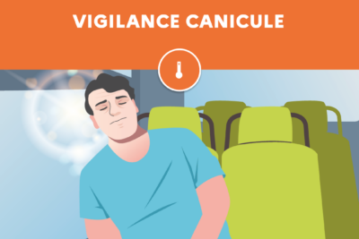 Agrandir l'image 3 sur 7, fenêtre modale