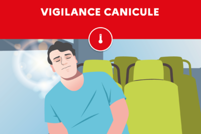 Agrandir l'image 3 sur 8, fenêtre modale