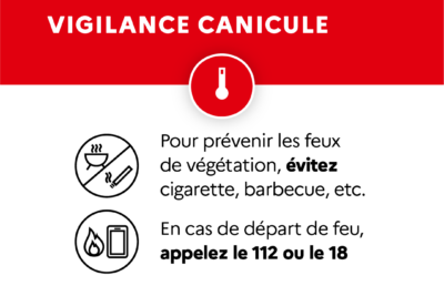 Agrandir l'image 7 sur 8, fenêtre modale