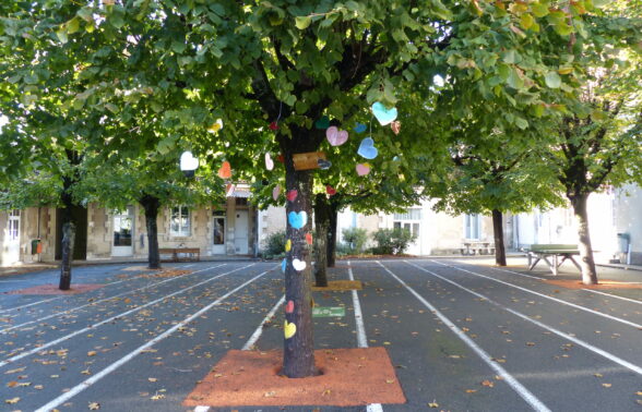 Ecole Pierre et Marie Curie