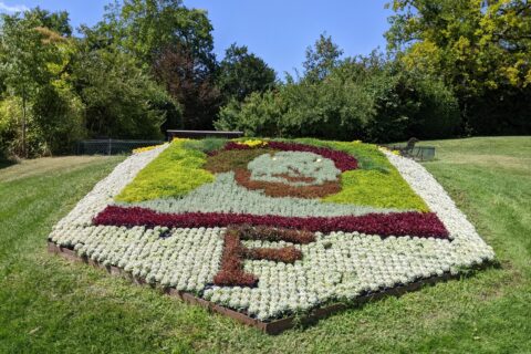 Visage de François Ier réalisé avec des fleurs