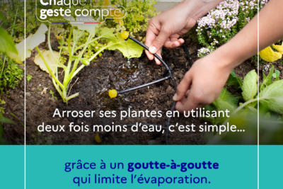 Agrandir l'image 1 sur 4, fenêtre modale