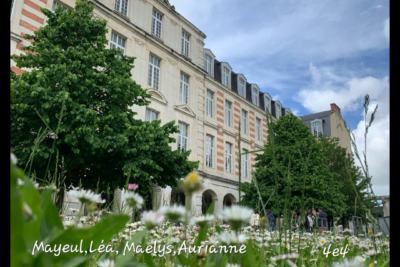 Agrandir l'image 1 sur 18, fenêtre modale