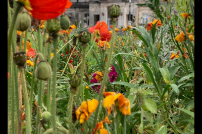 Agrandir l'image 13 sur 18, fenêtre modale