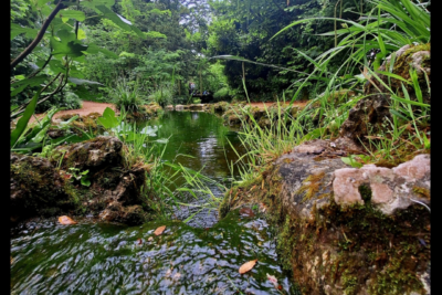 Agrandir l'image 4 sur 18, fenêtre modale