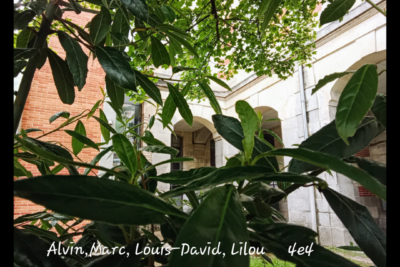 Agrandir l'image 5 sur 18, fenêtre modale