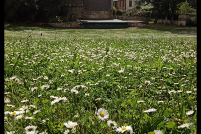 Agrandir l'image 8 sur 18, fenêtre modale