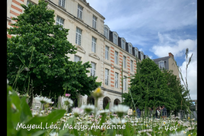 Agrandir l'image 10 sur 18, fenêtre modale