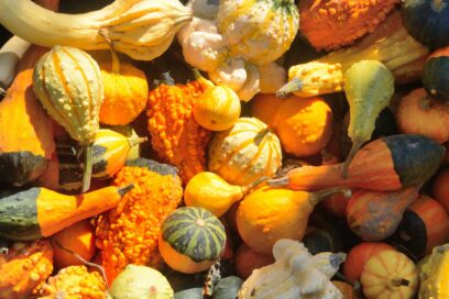 Ensemble de courges de toutes variétés - Agrandir l'image, fenêtre modale
