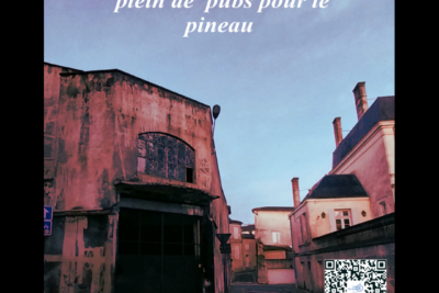 Agrandir l'image 5 sur 16, fenêtre modale