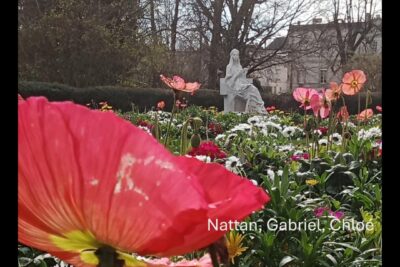 Agrandir l'image 1 sur 10, fenêtre modale