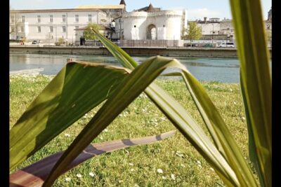 Agrandir l'image 3 sur 10, fenêtre modale