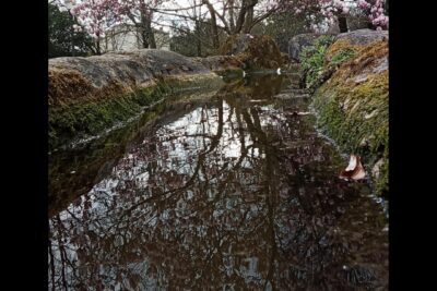 Agrandir l'image 4 sur 10, fenêtre modale