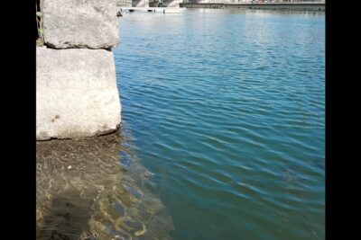 Agrandir l'image 5 sur 10, fenêtre modale