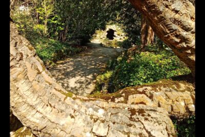 Agrandir l'image 6 sur 10, fenêtre modale