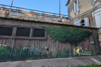 Agrandir l'image, fenêtre modale